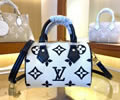 Louis Vuitton Women Bag LV