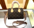 Louis Vuitton Women Bag LV