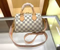 Louis Vuitton Women Bag LV