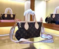 Louis Vuitton Women Bag LV