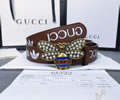 GUCCI Leather belt best quality 1:1 W3.5