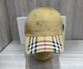 BURBERRY Cap without box best quality