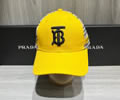 BURBERRY Cap without box best quality