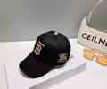 BURBERRY Cap without box best quality