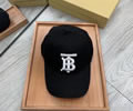 BURBERRY Cap without box best quality