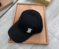 BURBERRY Cap without box best quality