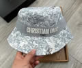 Dior Cap best quality without box