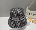 Dior Cap best quality without box