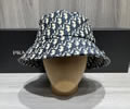 Dior Cap best quality without box