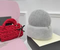 Balenciaga Winter Cap best quality