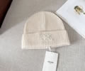 CELINE Winter Cap with box best quality