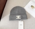 CELINE Winter Cap with box best quality