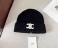 CELINE Winter Cap with box best quality