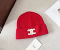 CELINE Winter Cap with box best quality