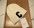 CELINE Winter Cap with box best quality