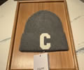 CELINE Winter Cap with box best quality