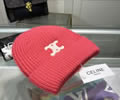 CELINE Winter Cap with box best quality