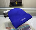 CELINE Winter Cap with box best quality