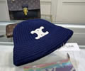 CELINE Winter Cap with box best quality