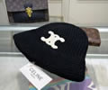 CELINE Winter Cap with box best quality