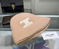CELINE Winter Cap with box best quality