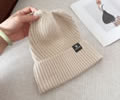 CELINE Winter Cap with box best quality