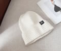 CELINE Winter Cap with box best quality