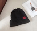 CELINE Winter Cap with box best quality