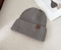CELINE Winter Cap with box best quality