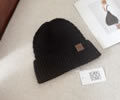 CELINE Winter Cap with box best quality