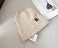 CELINE Winter Cap with box best quality