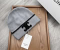 CELINE Winter Cap with box best quality