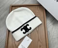 CELINE Winter Cap with box best quality