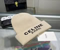 CELINE Winter Cap with box best quality