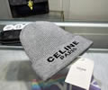 CELINE Winter Cap with box best quality