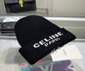 CELINE Winter Cap with box best quality