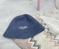 CELINE Winter Cap with box best quality