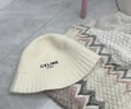 CELINE Winter Cap with box best quality