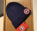 CANADA GOOSE Winter Cap best quality