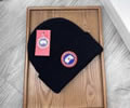 CANADA GOOSE Winter Cap best quality