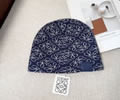 LOEWE Winter Cap With Box best quality