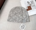 LOEWE Winter Cap With Box best quality