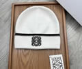 LOEWE Winter Cap With Box best quality