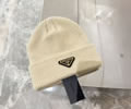 PRADA Cap With box best quality
