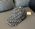 DIOR Cap With box best quality 1:1