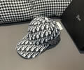 DIOR Cap With box best quality 1:1