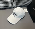 DIOR Cap With box best quality 1:1