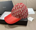 DIOR Cap With box best quality 1:1