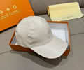 Louis Vuitton LV Cap with box best quality 1:1