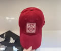 LOEWE Cap With box best quality 1:1